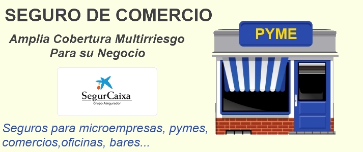 seguros de negocio